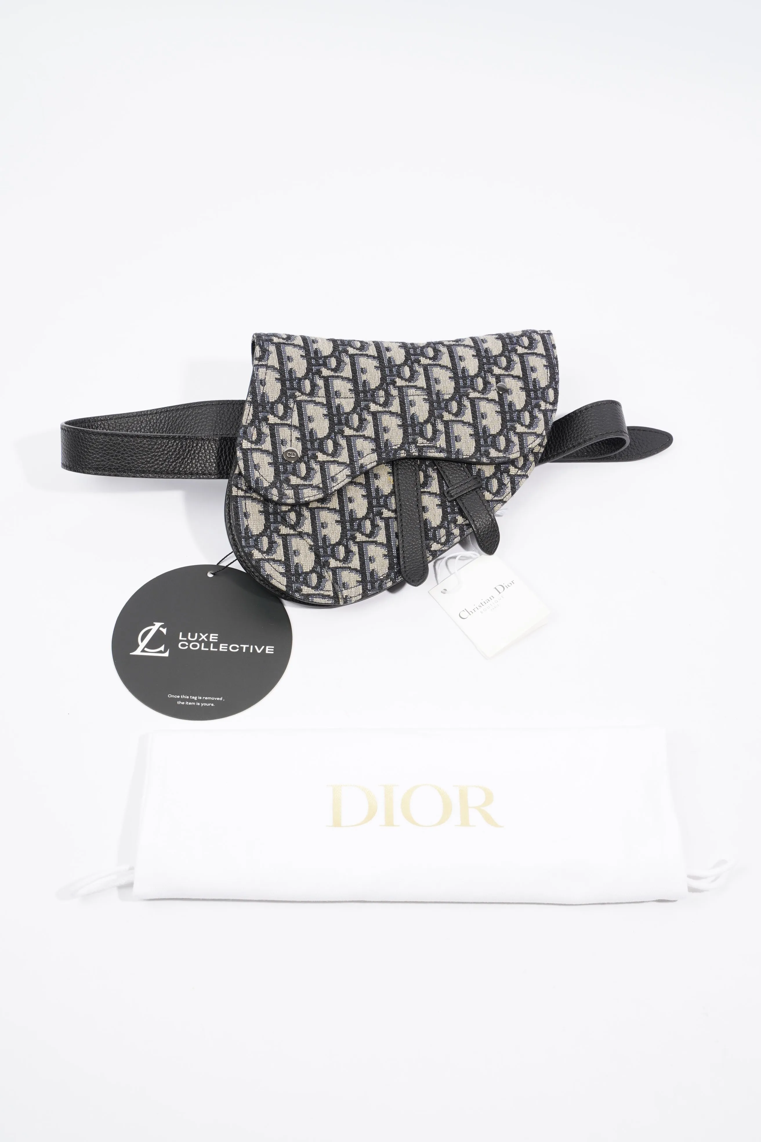 Christian Dior Saddle Belt Bag Oblique Canvas Mini